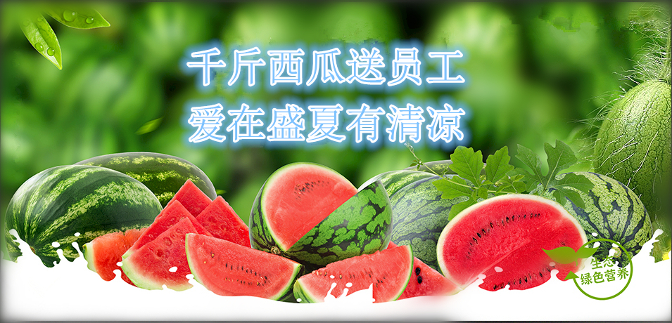 通達軟件公司： 千斤西瓜送員工，愛在盛夏有清涼